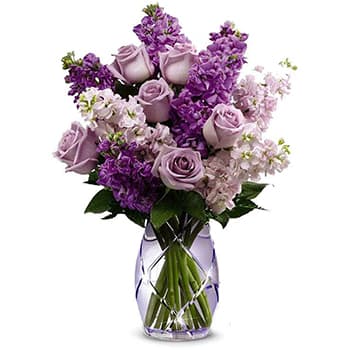 Lavender Haze – view 2