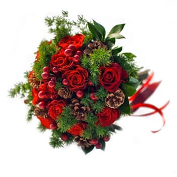 Winter Reds – view 2