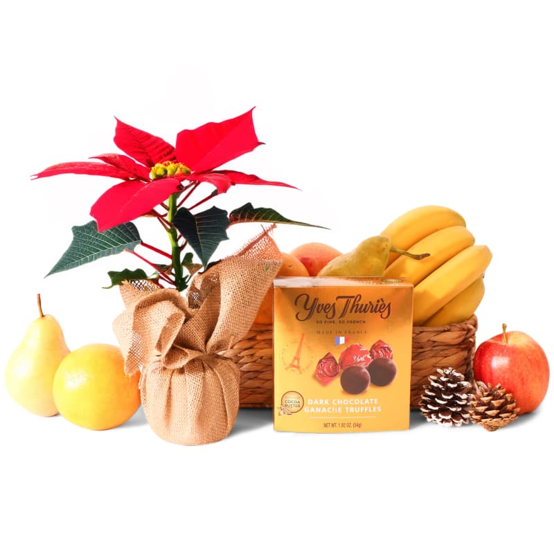 Fruity Poinsettia and Chocolates