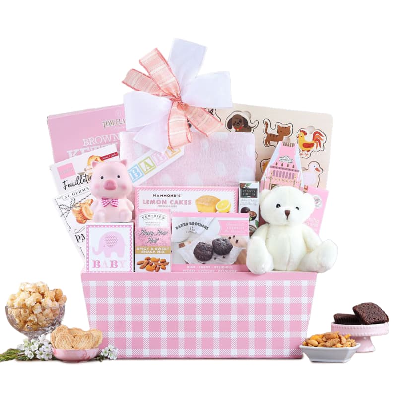 Celebrate New Life Gift Basket (Girl)